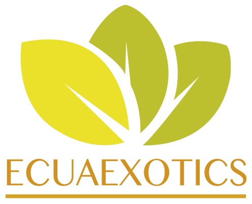 Logo-footer-ecuaexotics